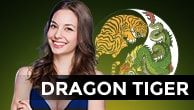 Dragon Tiger IDNLIVE